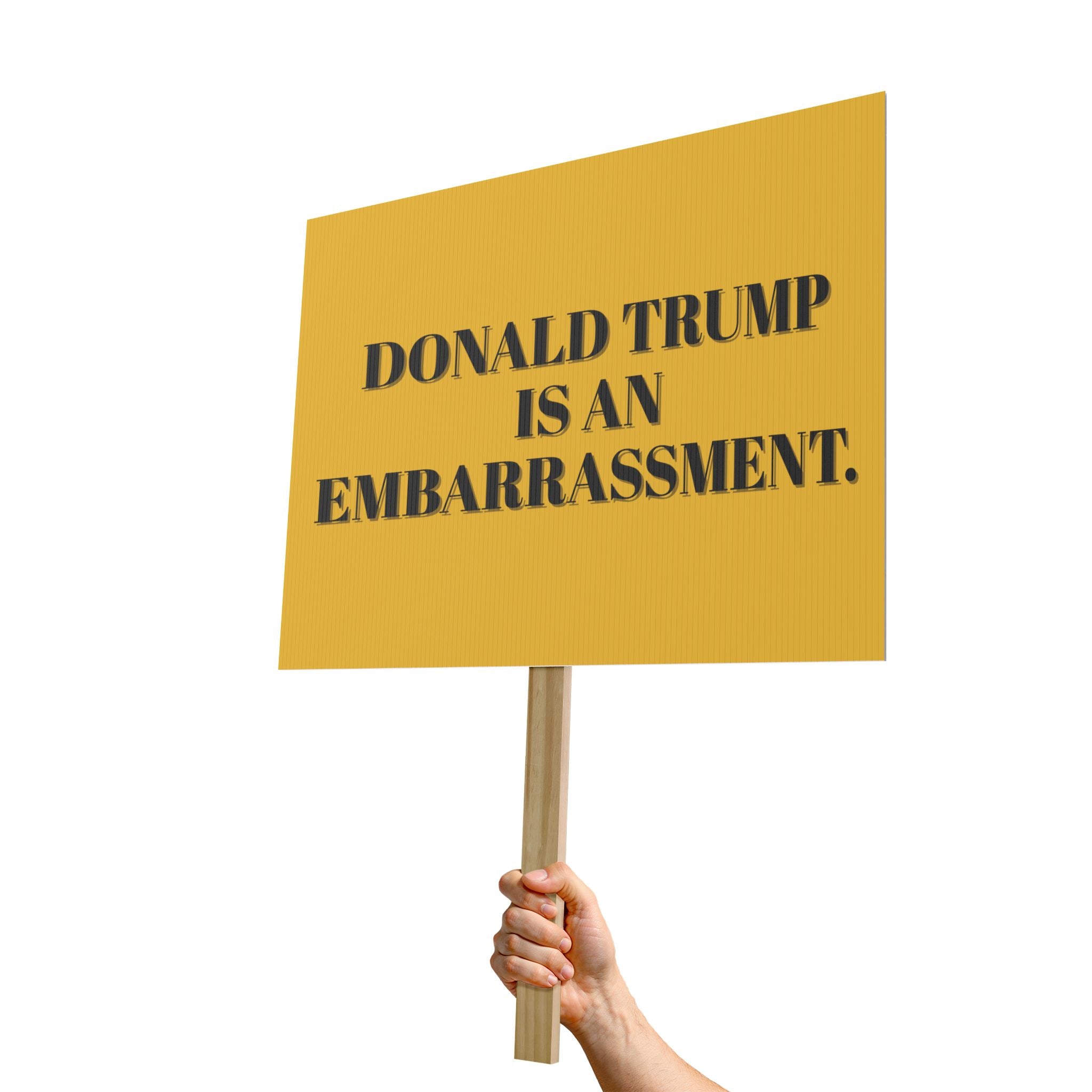 Protest Sign Poster, Donald Trump is an Embarrassment, Human Rights Activists, Save Democracy, Activist Gift, Political Art, Protest Decor,