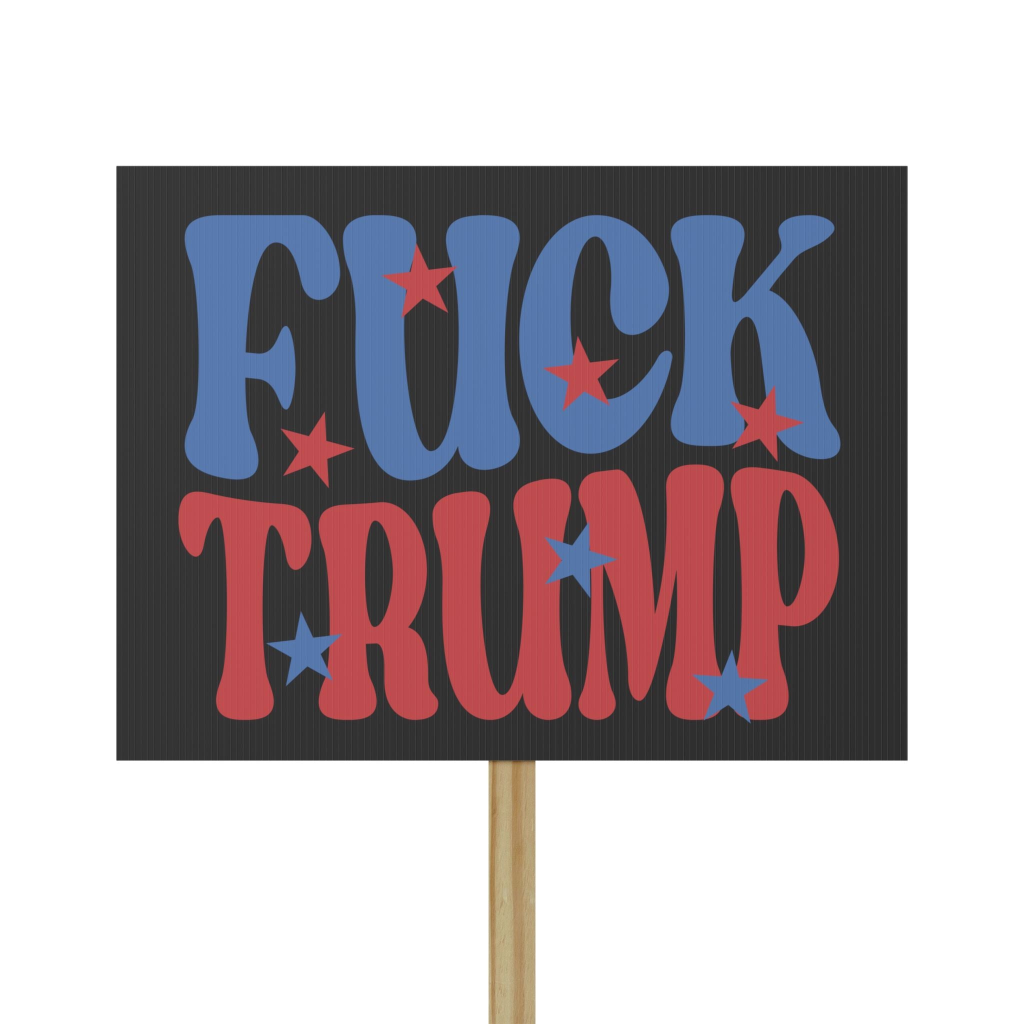 Protest Sign, Anti Trump Human Rights Political Activists Activism, Protest Banner, Resistance Poster, Social Justice Art Decoration,