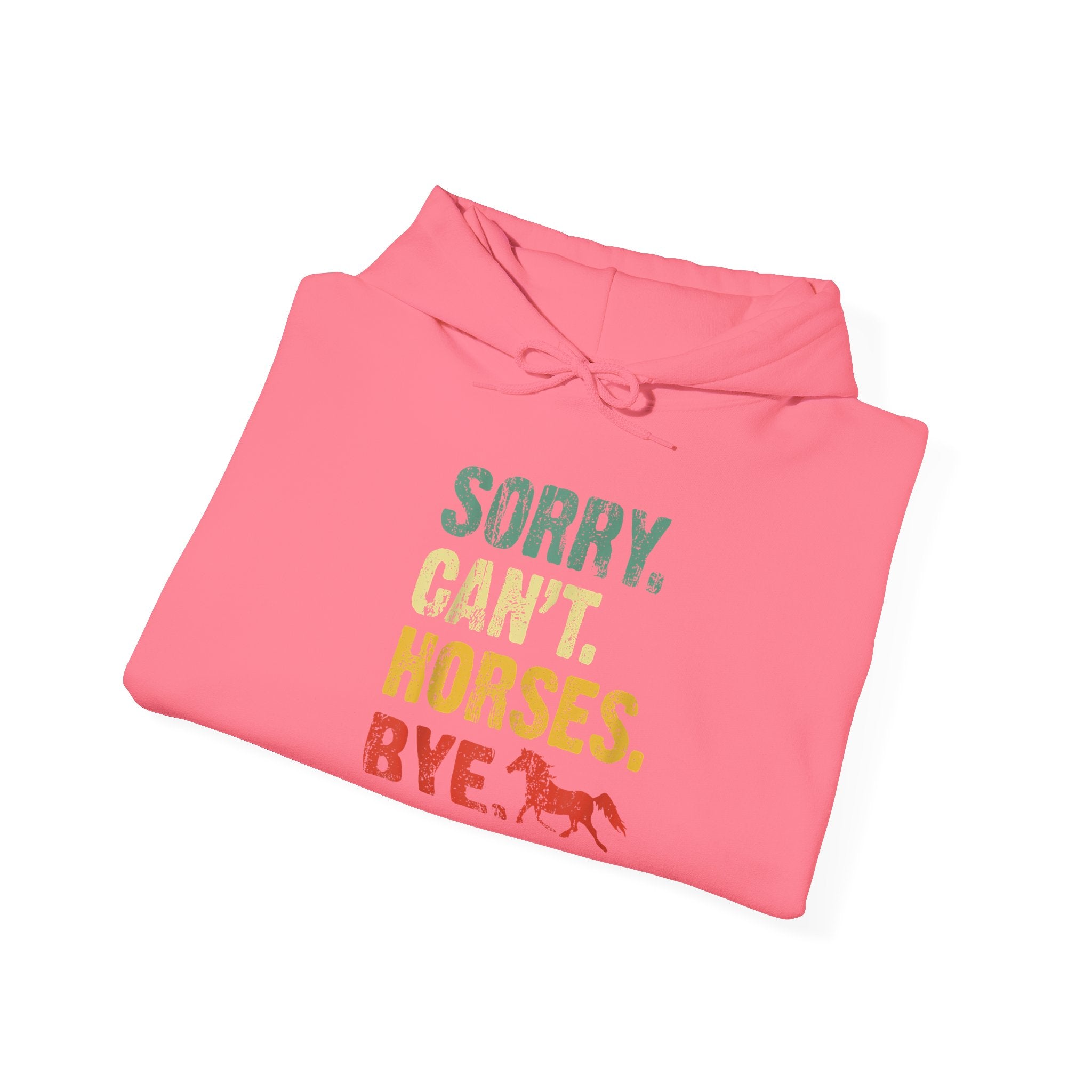 Hoodie — "Sorry. Can’t. Horses. Bye." Retro Vintage Equestrian Sweatshirt Gift for Horse Lovers