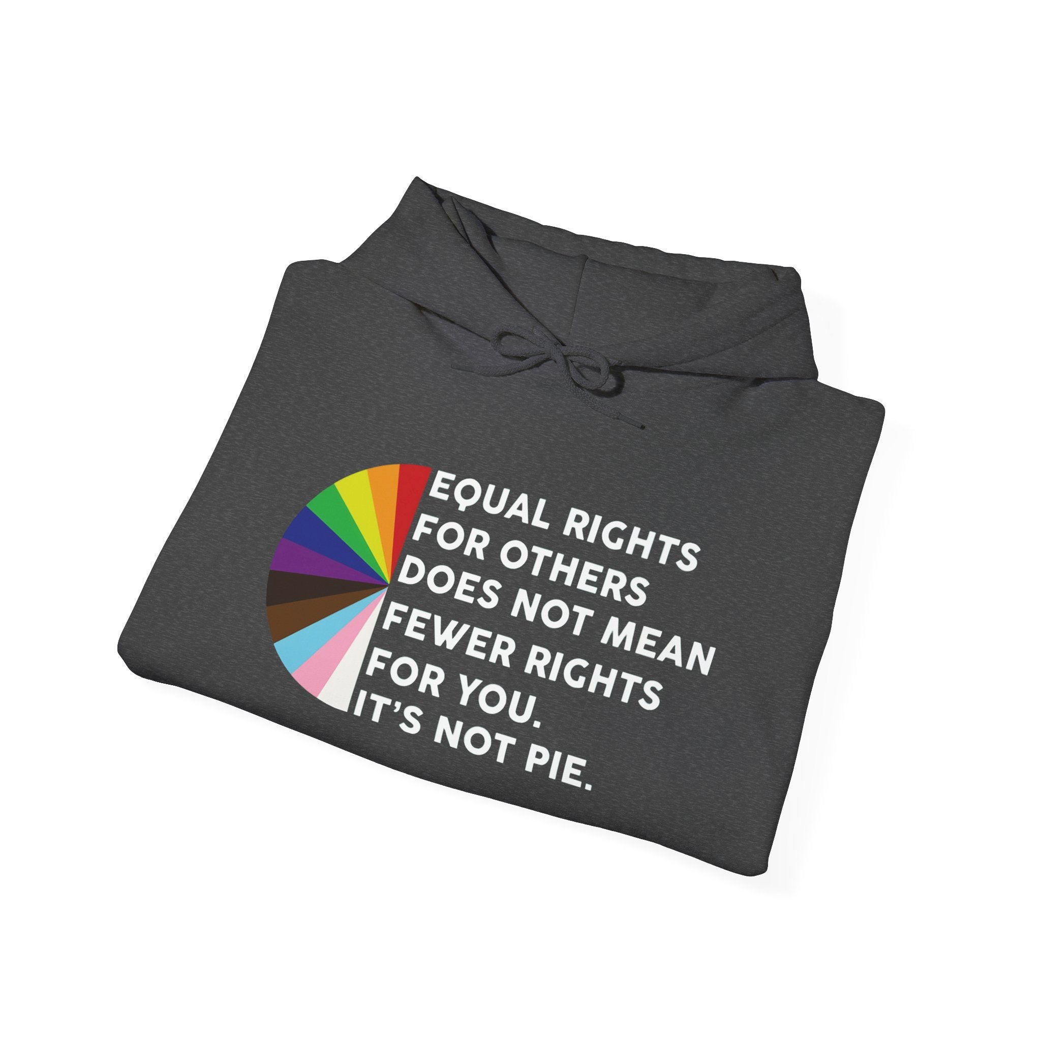 Rainbow Equality Unisex Hoodie - Equal Rights Protest Sweatshirt