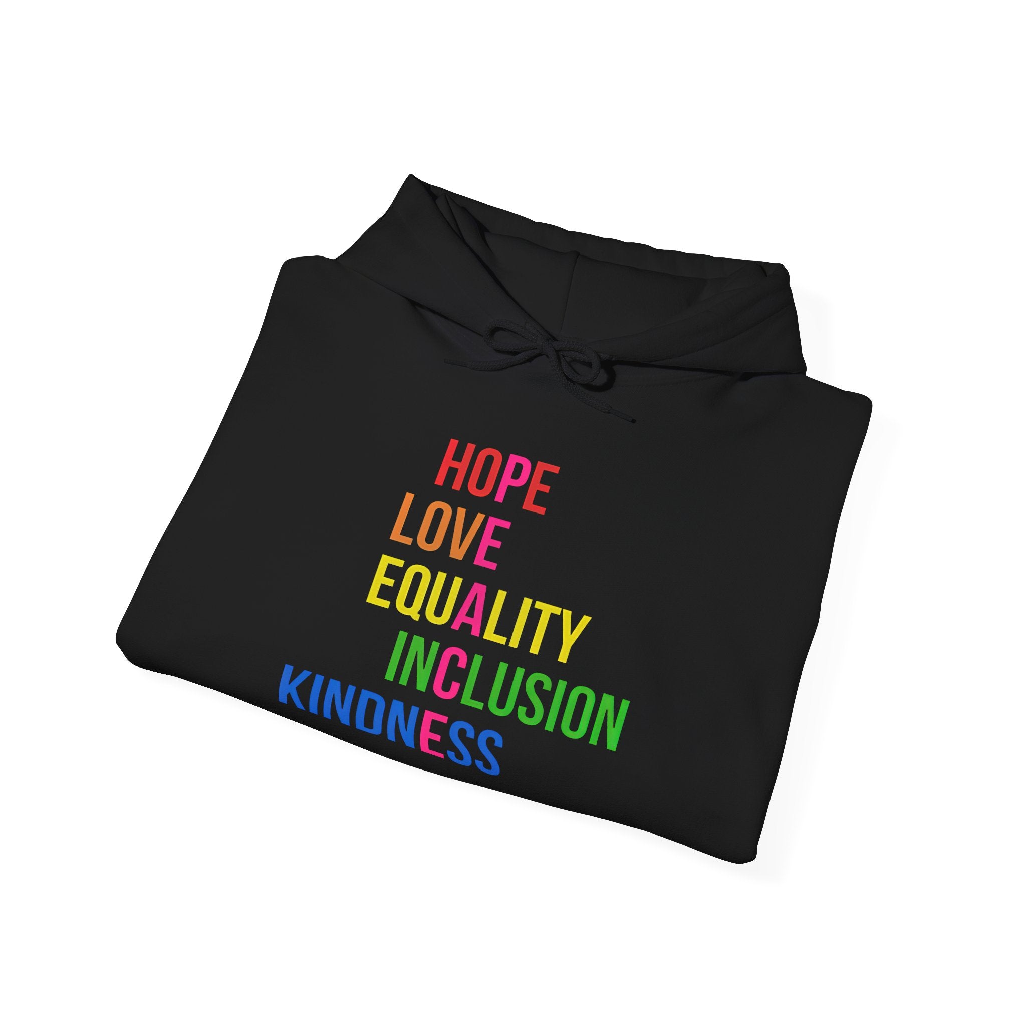 Equality Not Division Inclusion Kindness Hoodie, Unisex Sweatshirt, Equality Sweatshirt, Kindness Hooded Sweatshirt, Inclusion Hoodie,