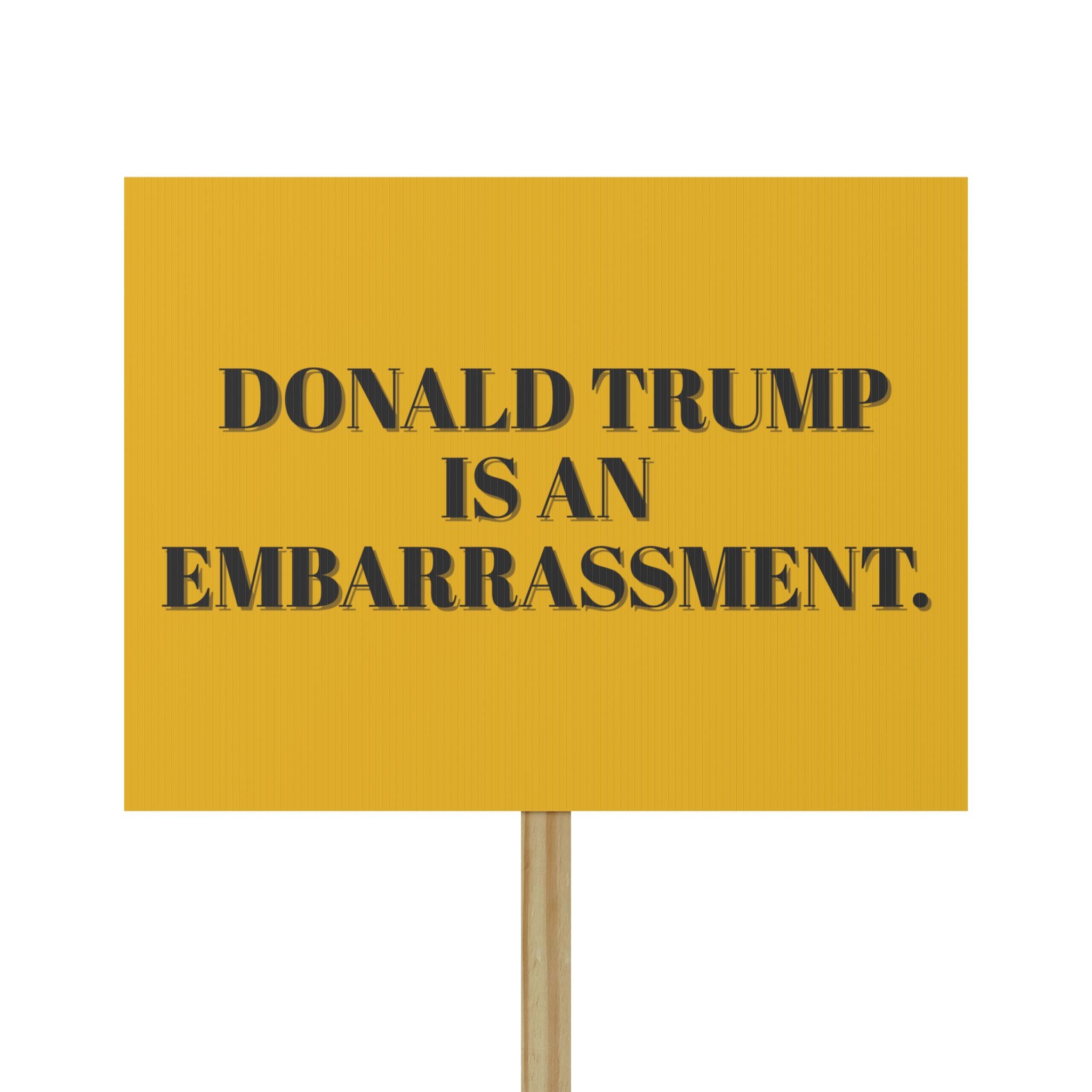 Protest Sign Poster, Donald Trump is an Embarrassment, Human Rights Activists, Save Democracy, Activist Gift, Political Art, Protest Decor,