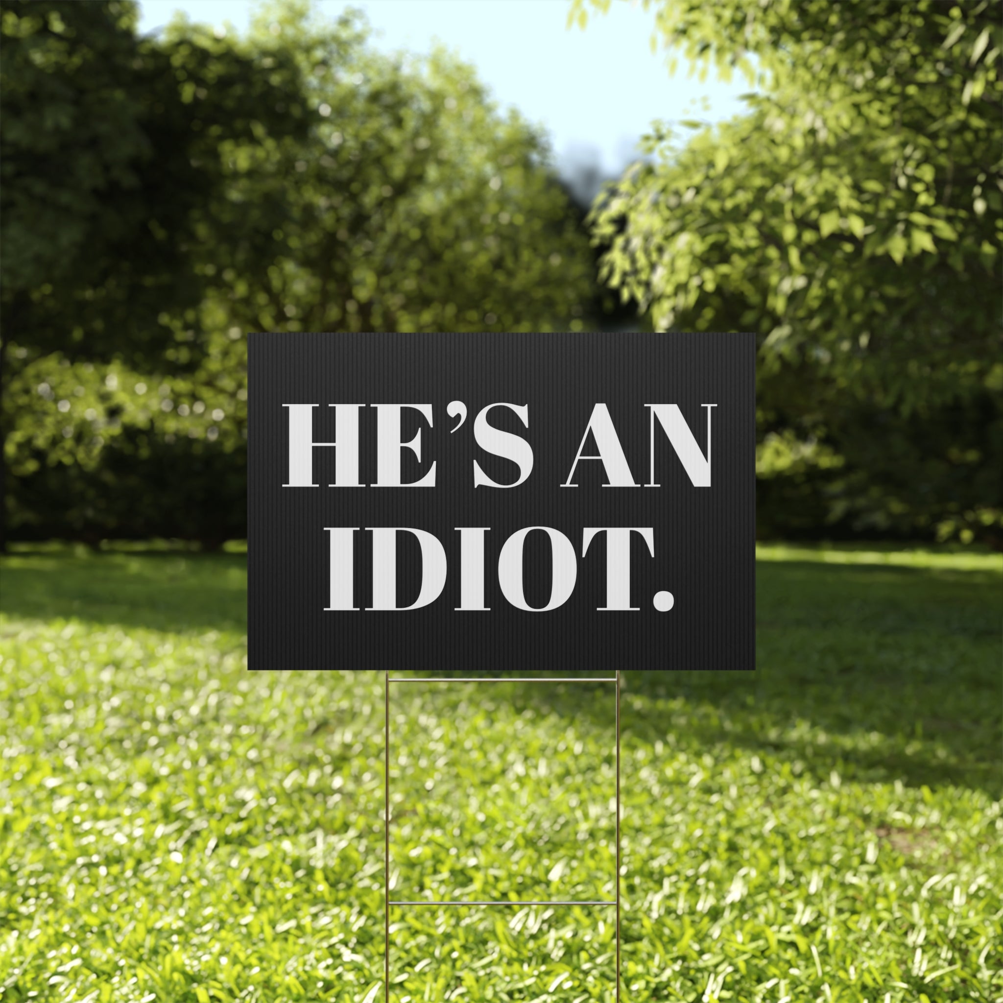 Black sign with white text 'HE'S AN IDIOT.' in a grassy outdoor setting