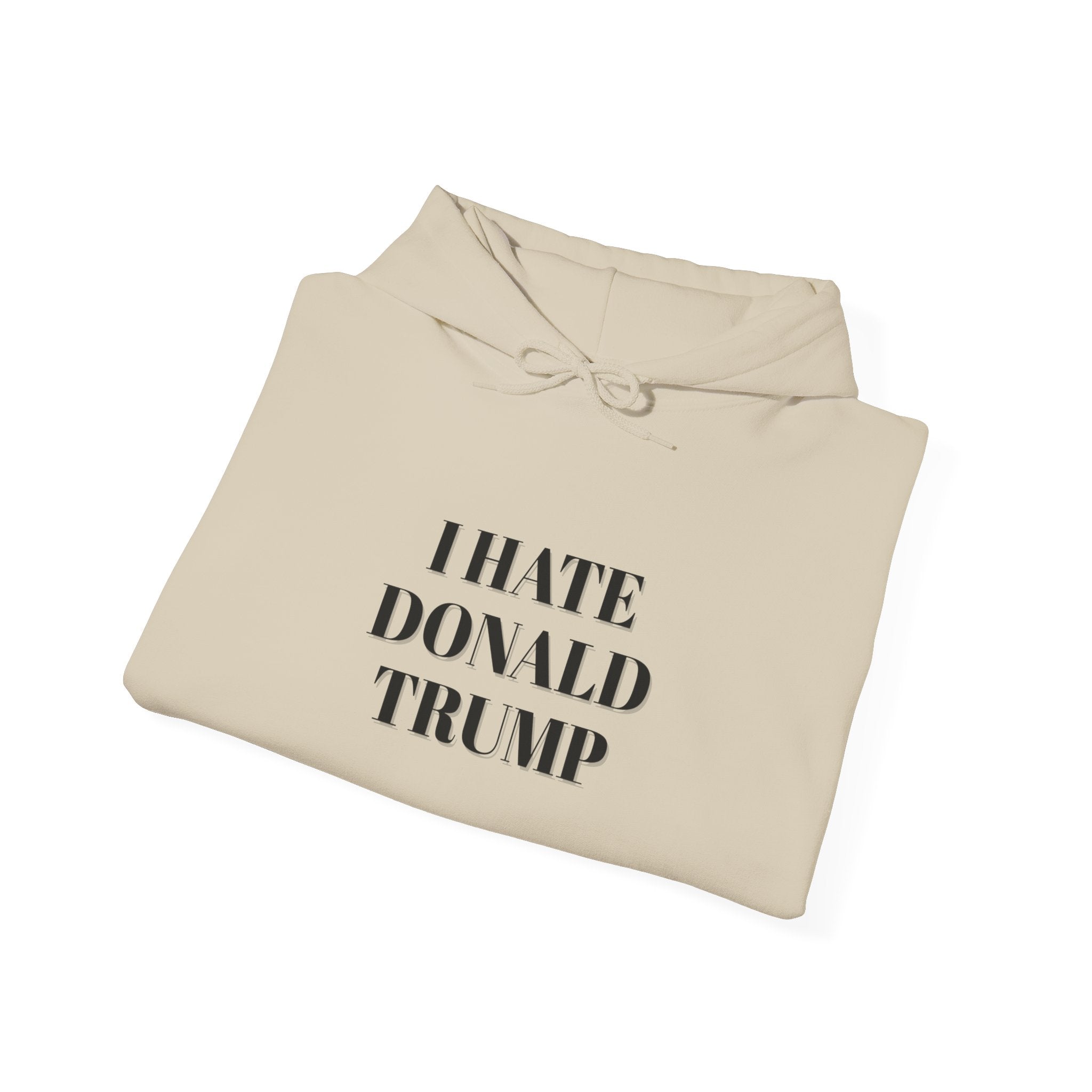 Hooded Sweatshirt - I Hate Donald Trump, Minimalist Design, Human Rights Activists
