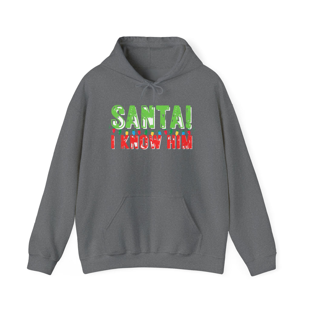 Funny Christmas Movie Elf Quotes Hoodie, Unisex Sweatshirt, Holiday Movie Fan Gift, Winter Apparel, Christmas Party Outfit Trending Gifts, Santa I Know Him