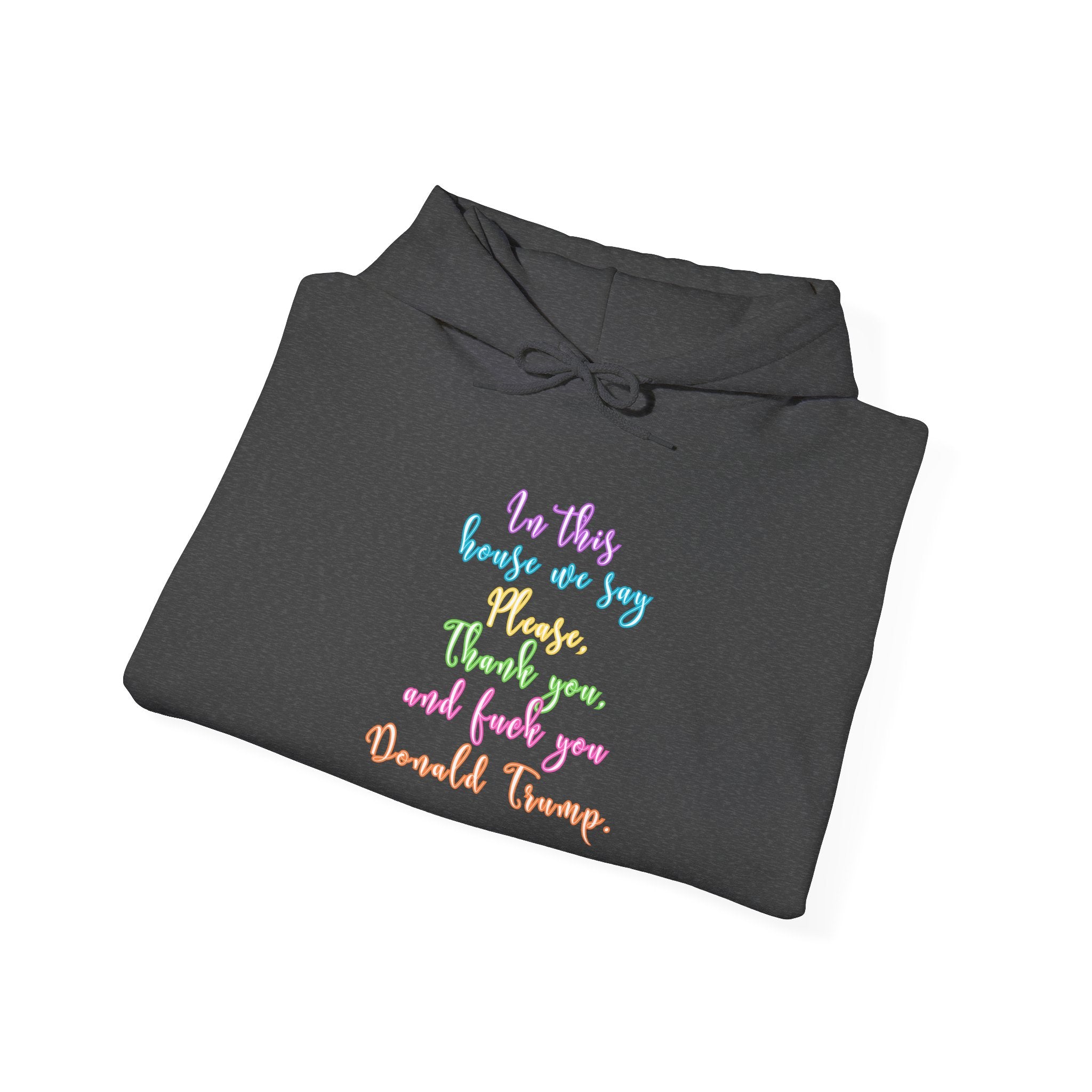 Hoodie - Colorful Script Political Humor Quote "In This House We Say Please, Thank you, and f*** you Donald Trump"