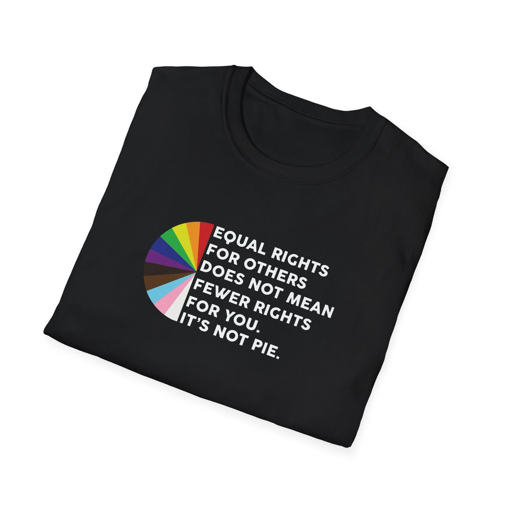Political Activism Shirt, Unisex T-Shirt Equal Rights Anti Trump Resist Protest Activist, FDT Apparel Liberal Democrat, Save Democracy