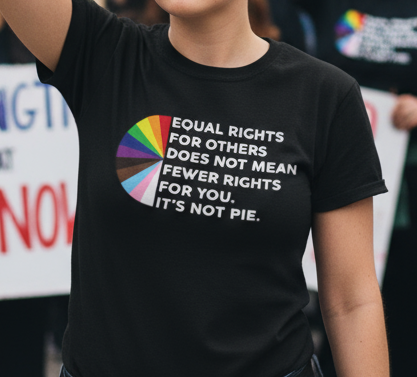 Political Activism Shirt, Unisex T-Shirt Equal Rights Anti Trump Resist Protest Activist, FDT Apparel Liberal Democrat, Save Democracy