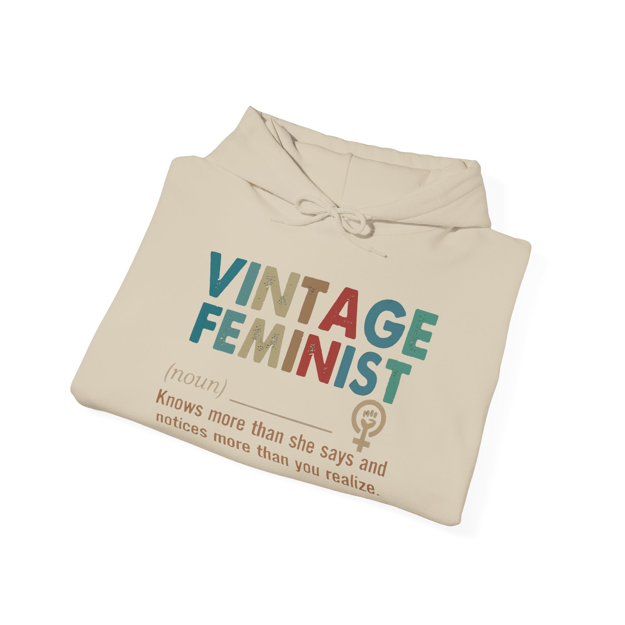 Vintage Feminist Hoodie — Retro Rainbow Typography "Vintage Feminist (noun)" Sweatshirt - Human Rights Activists