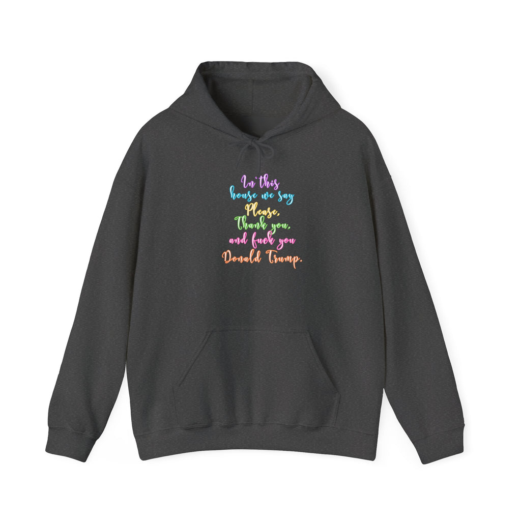 Hoodie - Colorful Script Political Humor Quote "In This House We Say Please, Thank you, and f*** you Donald Trump"